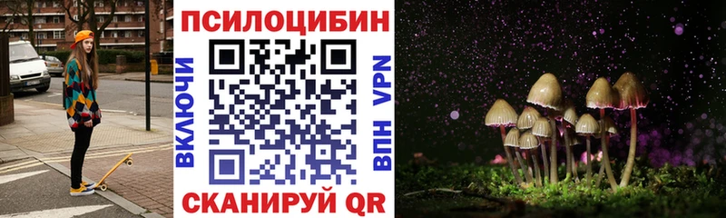 Галлюциногенные грибы Psilocybe  Керчь 